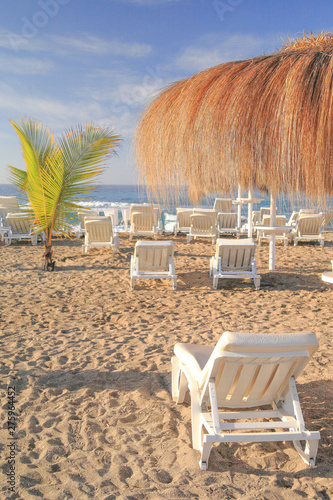 sandy beach with sun beds and umbrella