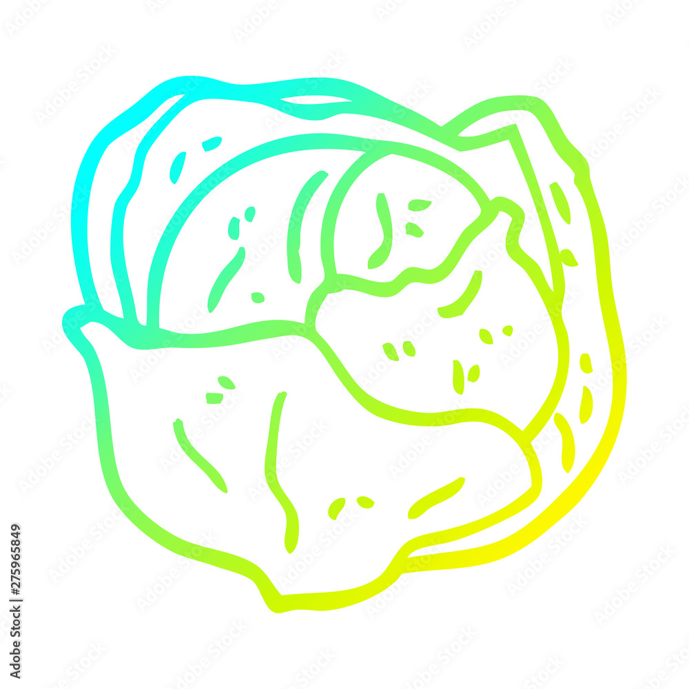 cold gradient line drawing cartoon organic lettuce cold gradient line drawing cartoon organic lettuce
