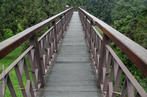 Fototapeta Naklejka Na Ścianę i Meble -  The walkway from wood in alishan national park at taiwan