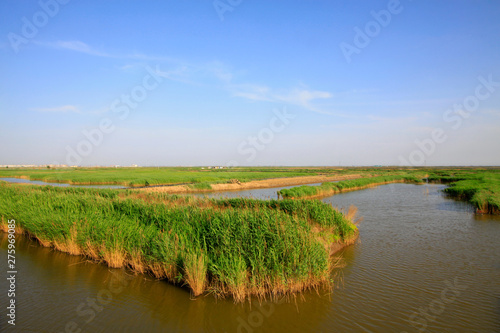 Hebei caofeidian golf course landscape photo