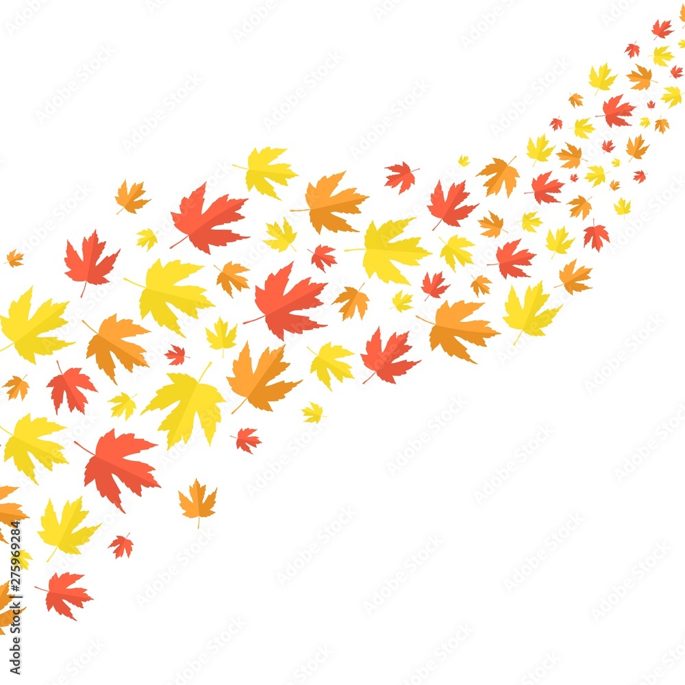 Vector illustration of falling autumn leaves isolated on white background. Colorful maple leaves flying on air. Vector template with moving on wind autumn foliage with copy space. Design element. Vector illustration of falling autumn leaves isolated on white background. Colorful maple leaves flying on air. Vector template with moving on wind autumn foliage with copy space. Design element.