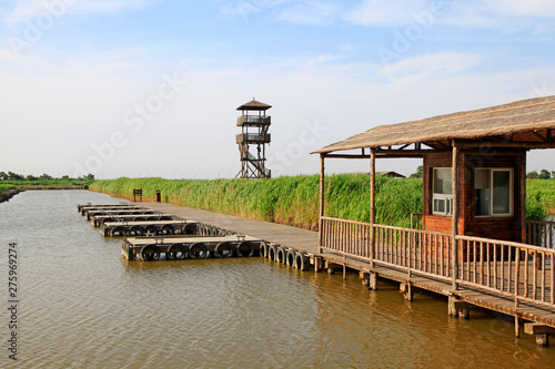 Wetland park scenery photo