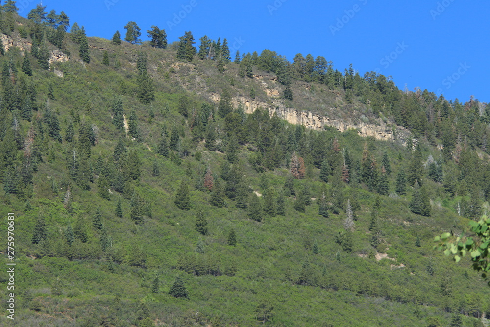 Baldy Peak Mountain Ouray Colorado
