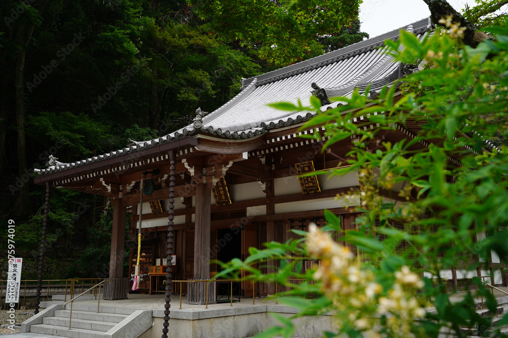 Fototapeta premium Landscape of Minoh