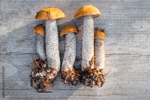 Orange-cap boletus on wooden background, top view photo