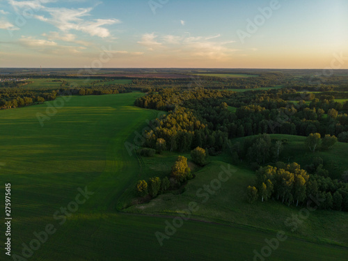 Top aerial view of green fi...