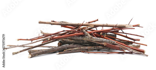Fotografia Dry branches, twigs isolated on white background
