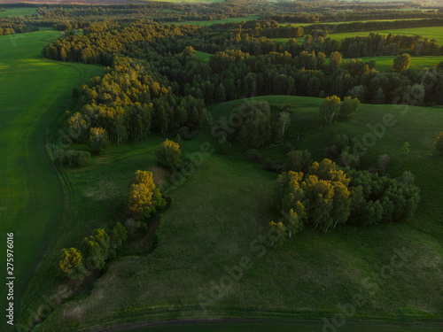 Top aerial view of green fi...