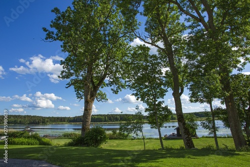 Gorgeous nature landscape on a summer day. Green plants, mirror water surface and blue sky with snow white clouds. Amazing nature landscape background. 