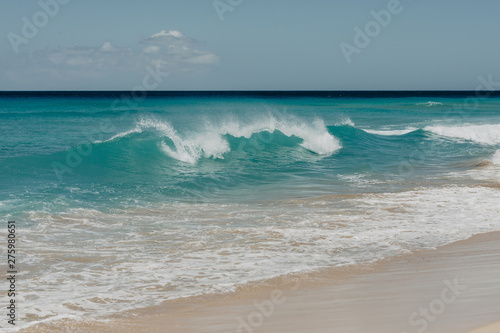 ocean landscape. sand beach and water of blue ocean