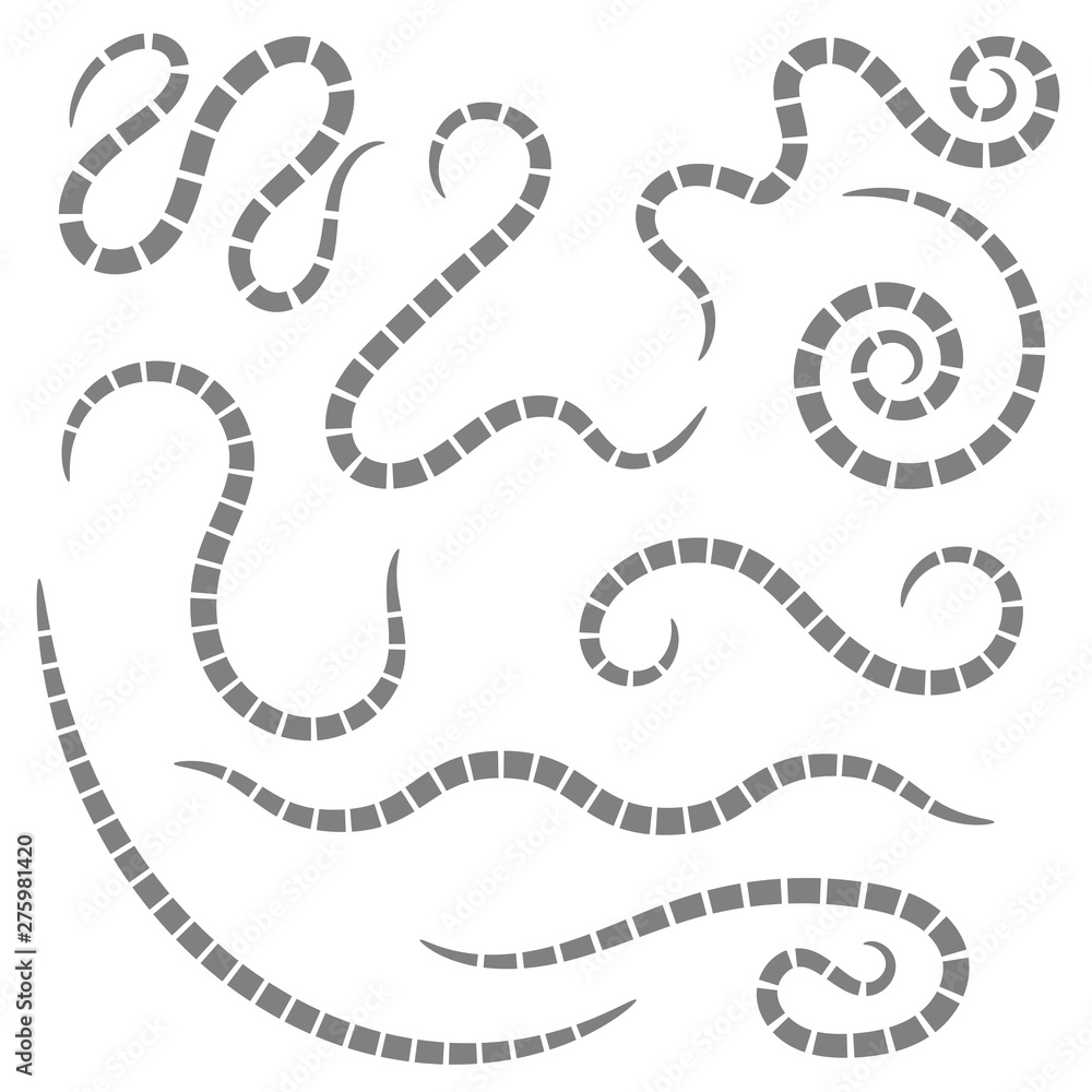 Ascarid, Helminth, Pinworm, Threadworm. Set of Parasite Isolated on White Background Ascarid, Helminth, Pinworm, Threadworm. Set of Parasite Isolated on White Background