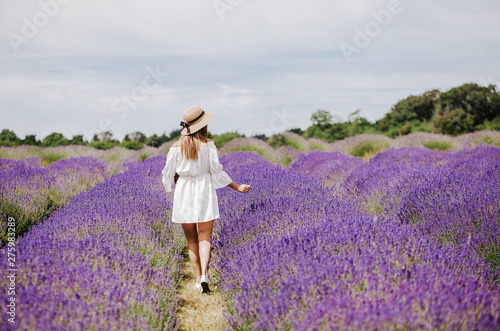 Beautiful young woman in a white dress and straw hat walks in the lavender field. Rear view.
