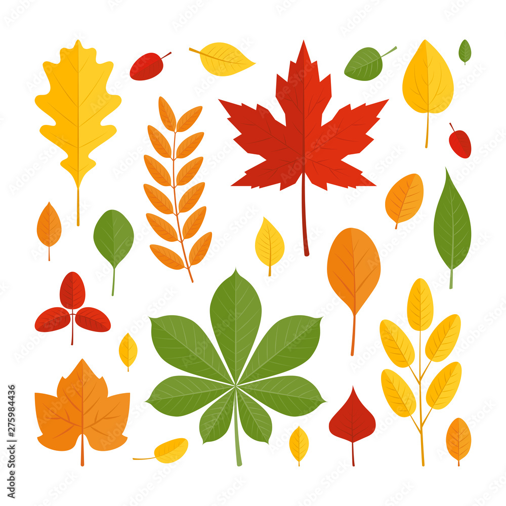 Colorful leaves in flat style, icons set