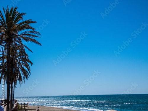 Palm tree at white sandy beach  blue sea in sunny day  Spain Mursia