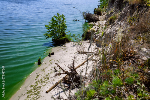 Green Kyiv sea in summer time near Lyutizh village  Ukraine