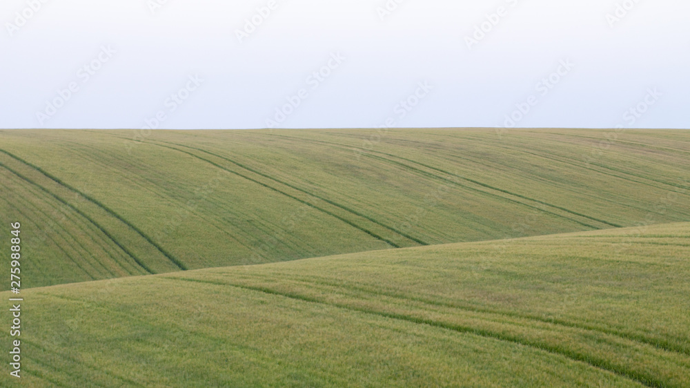 Beautiful countryside with green wheat fields landscape Beautiful countryside with green wheat fields landscape