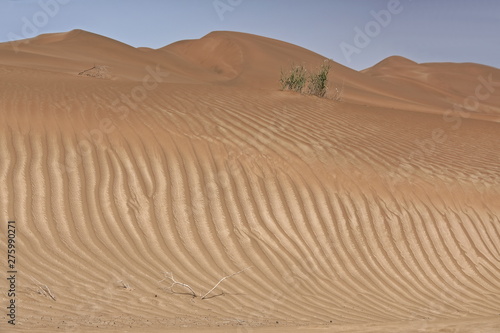 Shifting sand dunes-Takla Makan Desert. Yutian Keriya county-Xinjiang Uyghur region-China-0233