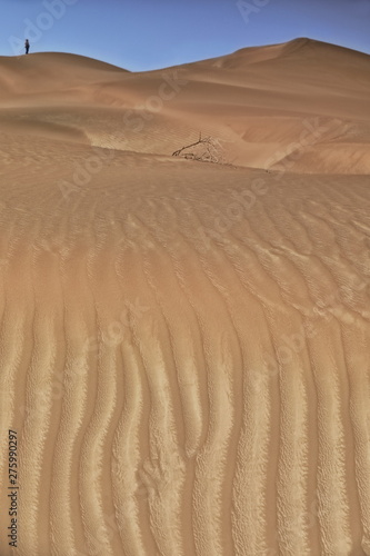 Fototapeta Naklejka Na Ścianę i Meble -  Shifting sand dunes-Takla Makan Desert. Yutian Keriya county-Xinjiang Uyghur region-China-0234