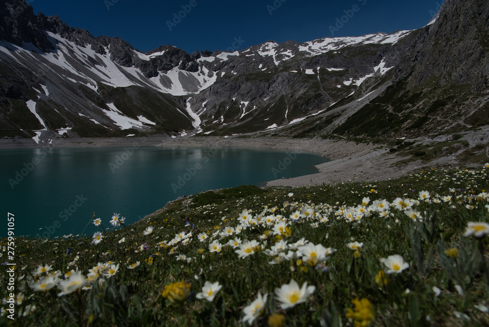 Alpsee mit Blumen, Schnee, Bergen, Felsen im Sommer