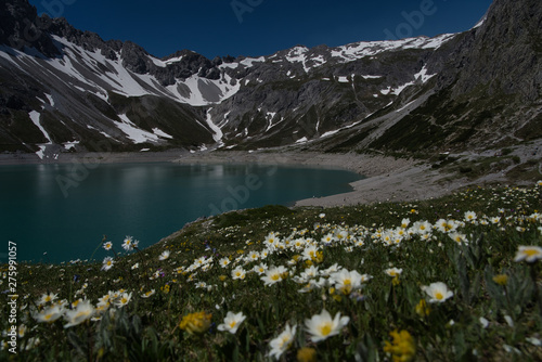 Alpsee mit Blumen, Schnee, Bergen, Felsen im Sommer