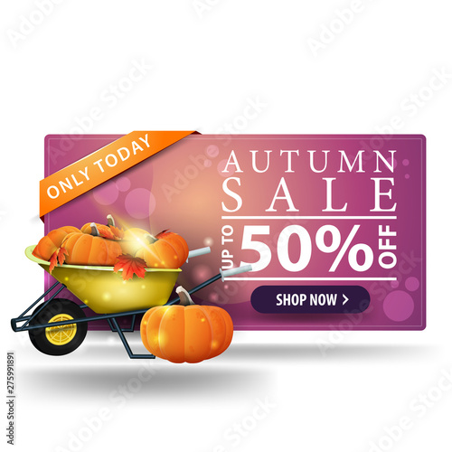 Modern autumn discount pink 3D banner with button, garden wheelbarrow with a harvest of pumpkins and autumn leaves