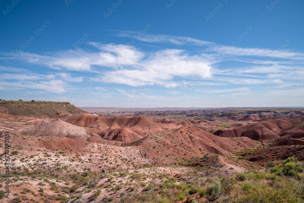 Painted Desert