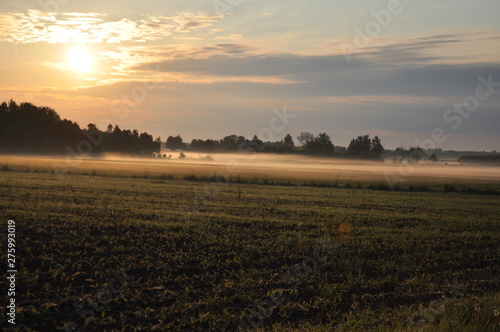 Beautiful scenery of field during sunrise with fog above and colorful sun.