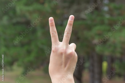 Victory sign in the form of two fingers on the background of trees in the forest © Pavel Iarunichev