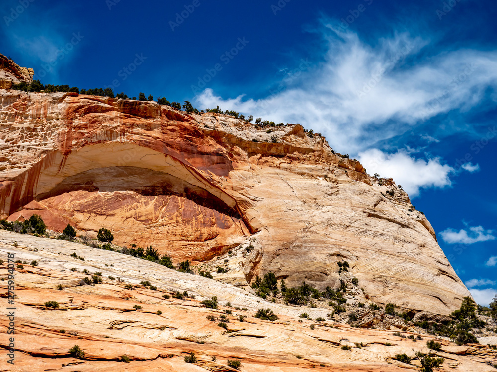 Sandstone clifs and mountains of the southwest United States