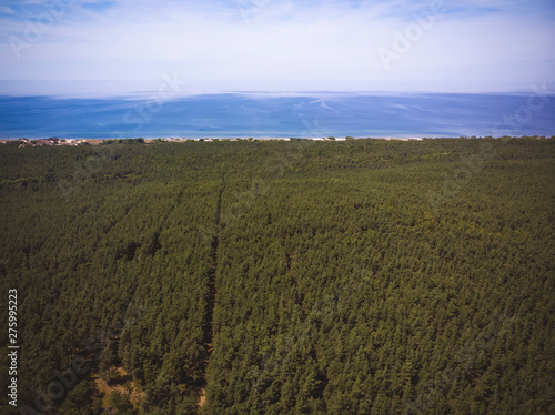 Top view landscape nature scenery view of beautiful sea near the forest
