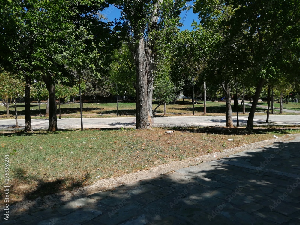 Obraz premium park