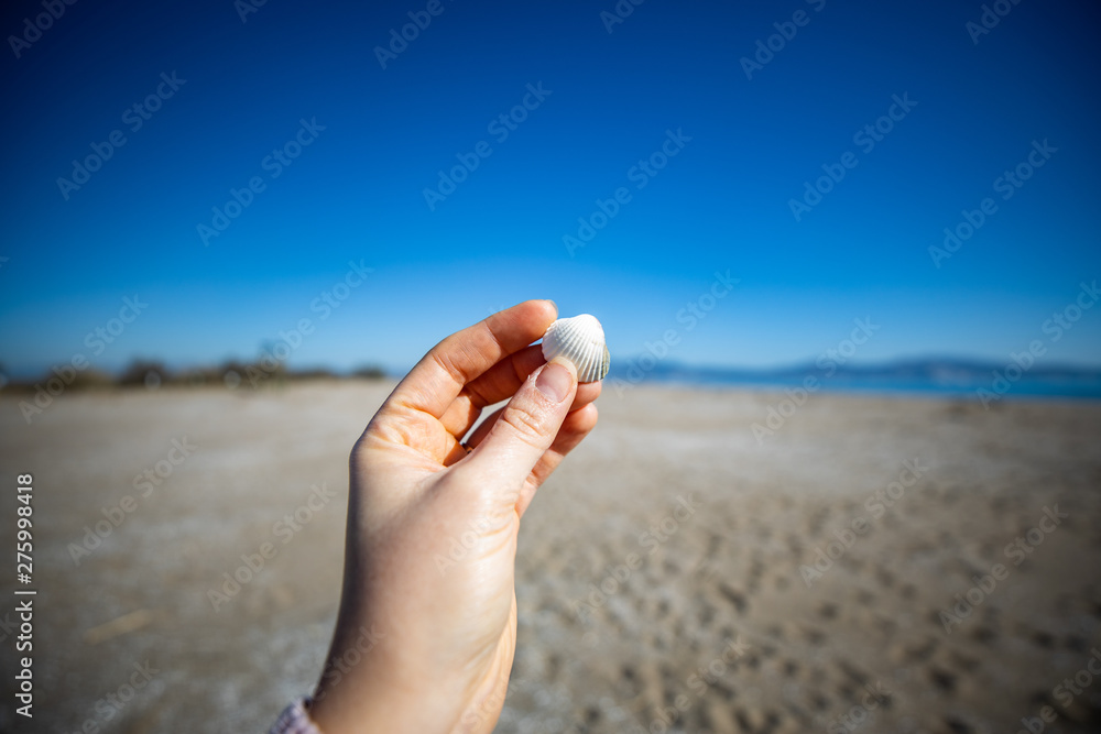 Woman hand holding a sea shell with blurred beacon on the background Woman hand holding a sea shell with blurred beacon on the background