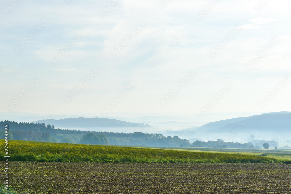 Soil in the foreground, canola field and foggy hills in the background