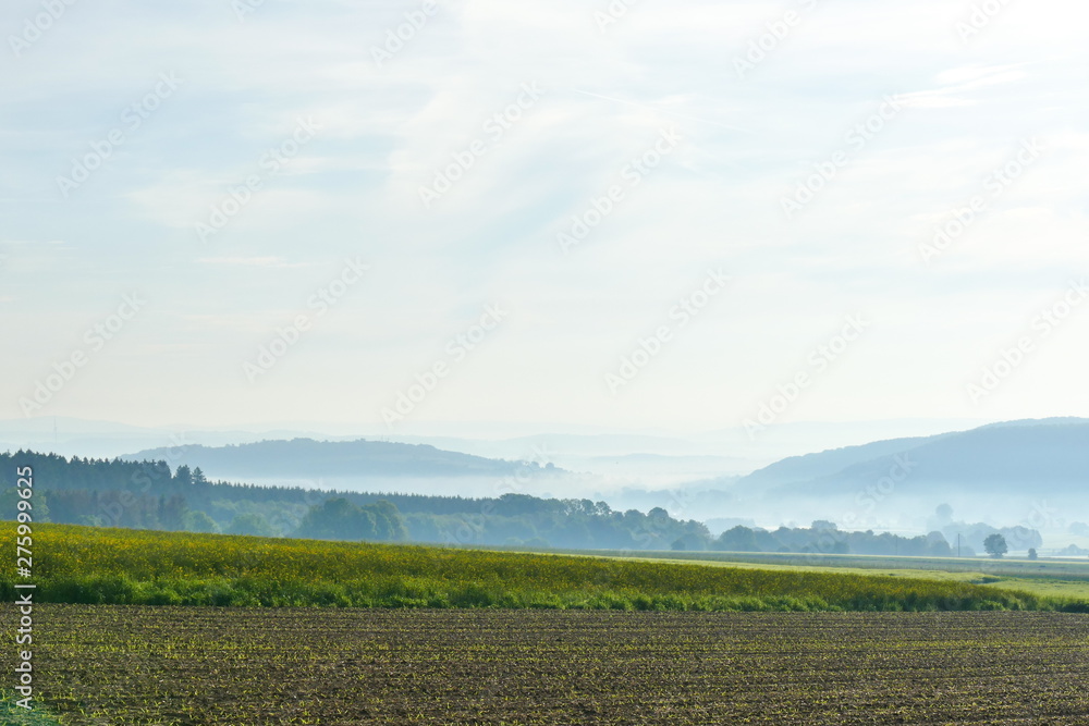 Soil in the foreground, canola field and foggy hills in the background Soil in the foreground, canola field and foggy hills in the background