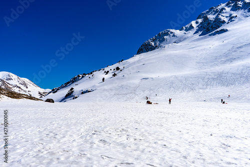 Snow mountain skiing