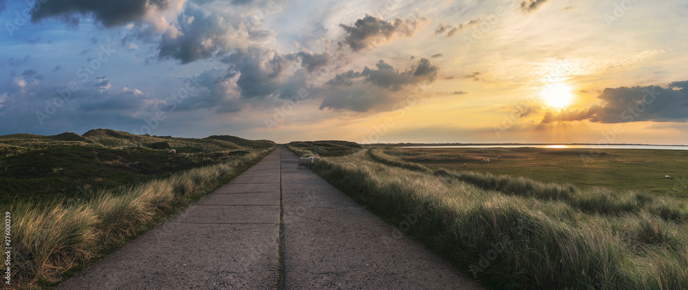 Country road panorama at sunrise on Sylt island