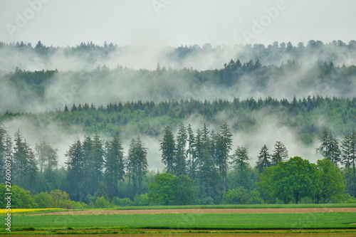 Fog after heavy rain fuming from the forest