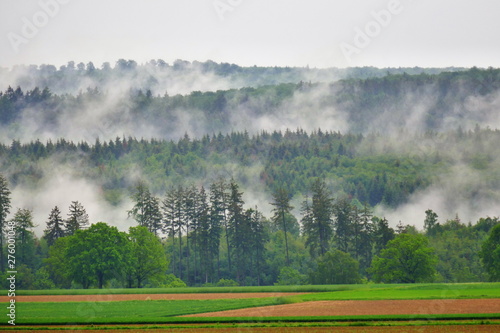 Fog after heavy rain fuming from the forest