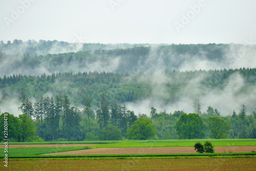 Fog after heavy rain fuming from the forest