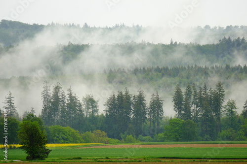 Fog after heavy rain fuming from the forest