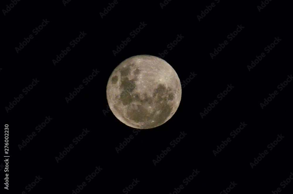 Fototapeta premium Moon at it largest also called super moon, Moon with a clear night surface.