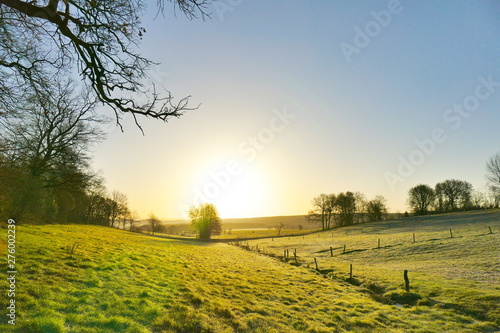 Meadow in the early morning with sun shining through the fog