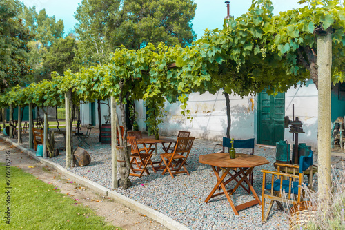 table and chairs in the garden