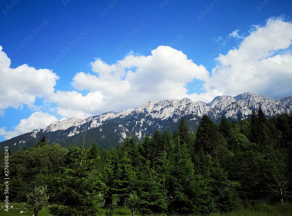 Mountain landscape - Piatra Craiului 