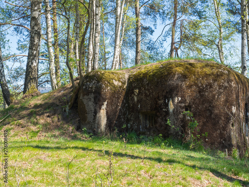 Abandoned World War Two concrete bunker Ropik in birch tree forest in lusitian mountains near Czech Republic Germany borders photo