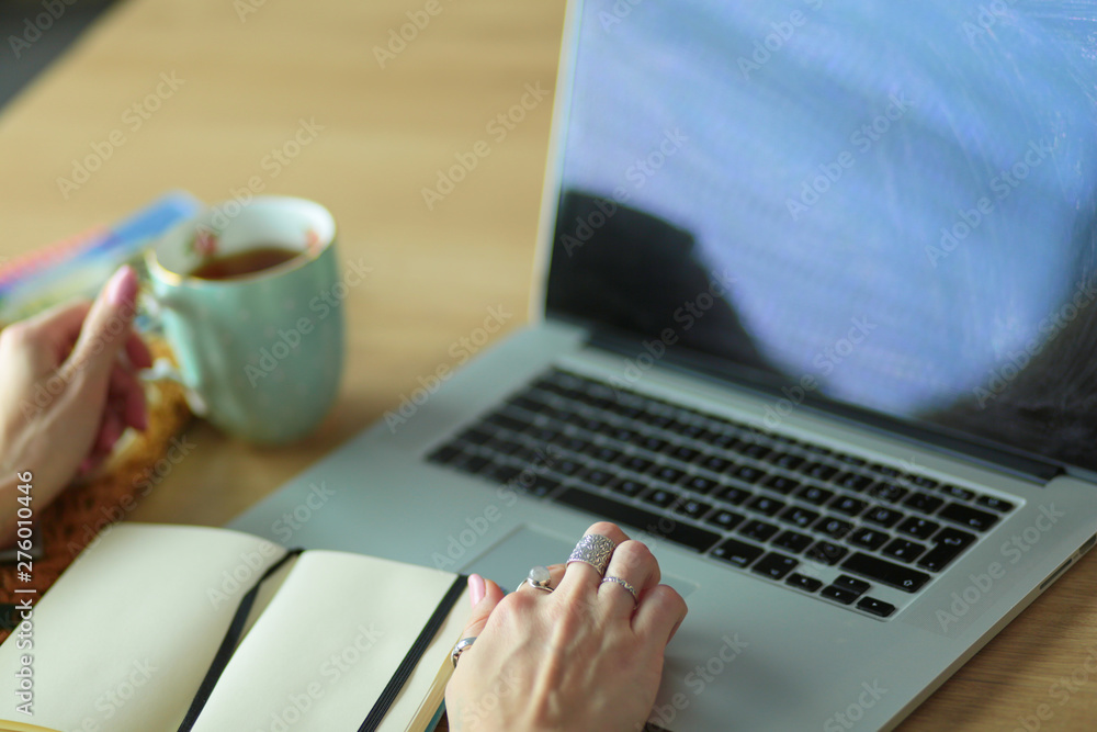Young woman holding credit card and using laptop computer. Online shopping concept Young woman holding credit card and using laptop computer. Online shopping concept