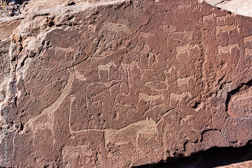 6000 year old stone age rock carvings showing a map of the location of animals in relation to water holes. Twyfelfontein, Namibia 6000 year old stone age rock carvings showing a map of the location of animals in relation to water holes. Twyfelfontein, Namibia