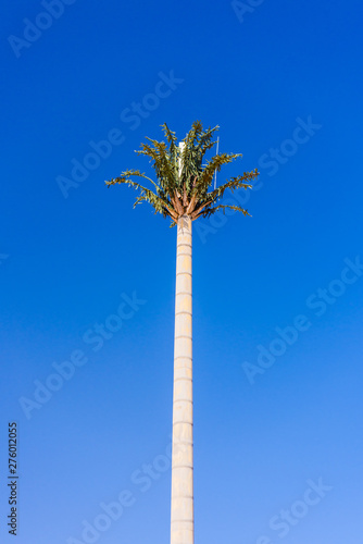 Mobile phone antenna mast disguised as a large palm tree with leaves, Langstrand, Namibia