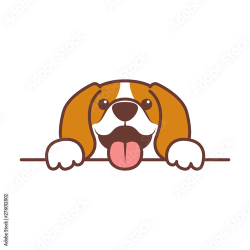 Funny beagle puppy paws up over wall, dog face cartoon, vector illustration