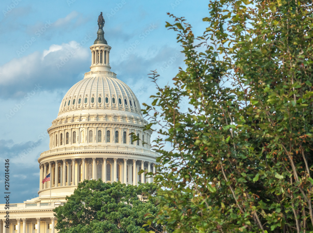 Naklejka premium Capitol Hill